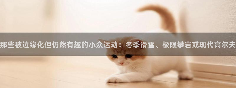 捷豹足球比赛：那些被边缘化但仍然有趣的小众运动：冬季滑雪、极限攀岩或现代高尔夫