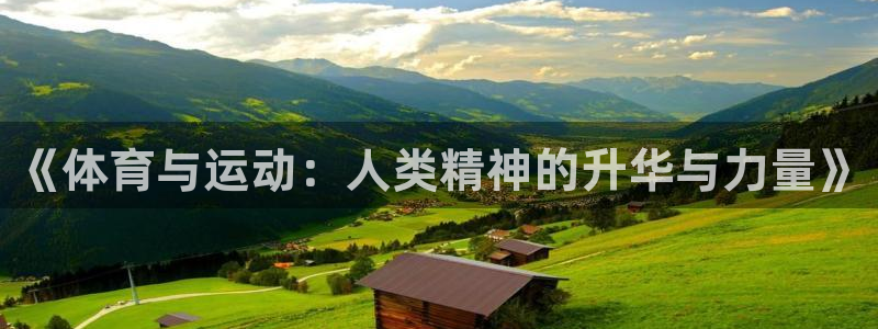 捷豹足球及时比分：《体育与运动：人类精神的升华与力量》