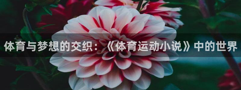 捷豹足球俱乐部：体育与梦想的交织：《体育运动小说》中的世界