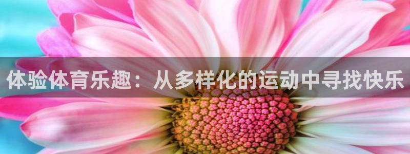 捷豹足球app：体验体育乐趣：从多样化的运动中寻找快乐